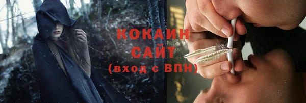 ГАЛЛЮЦИНОГЕННЫЕ ГРИБЫ Алексеевка