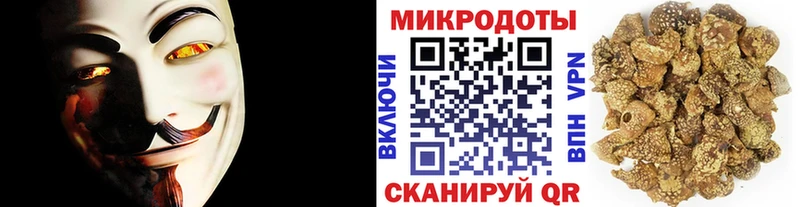 Галлюциногенные грибы Psilocybine cubensis  нарко площадка телеграм  Чаплыгин 