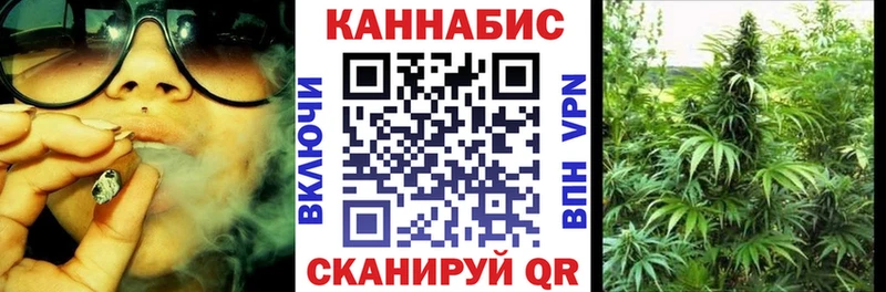 Бошки марихуана THC 21%  кракен рабочий сайт  Чаплыгин  цена наркотик 